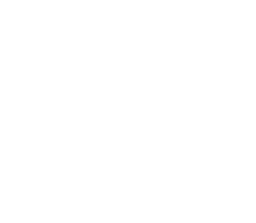 Iron Vanguard Riding Club patch with Spartan helmet and crossed spears